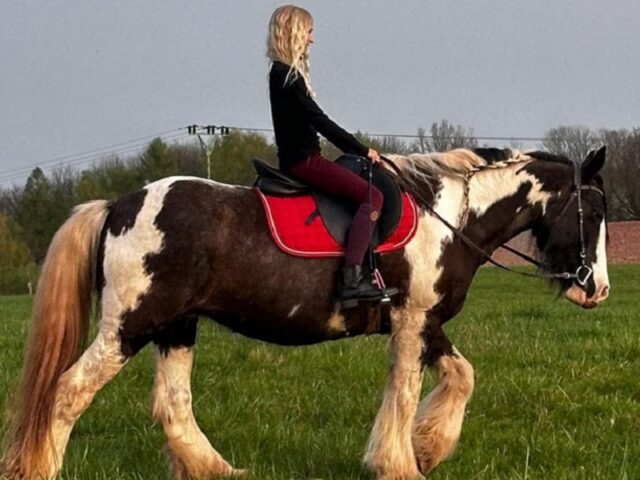 Projížďky na koních